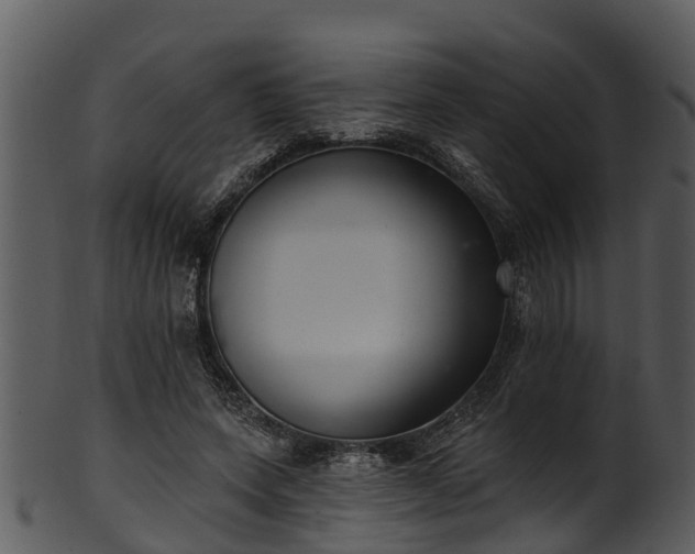 X0000101420543200807141156