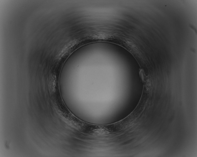 X0000101420544200807141156
