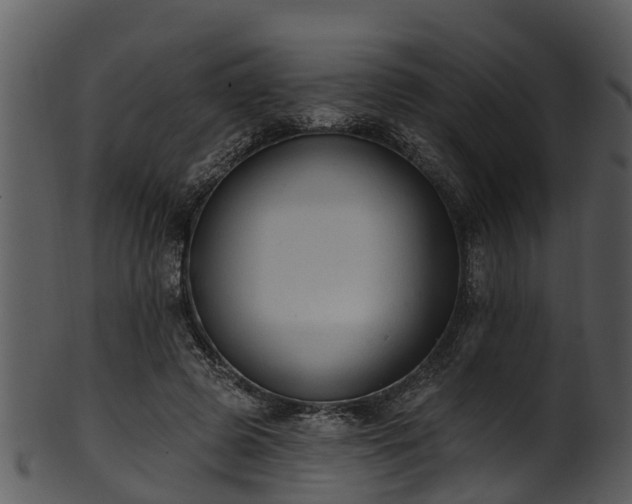X0000101420545200807141156
