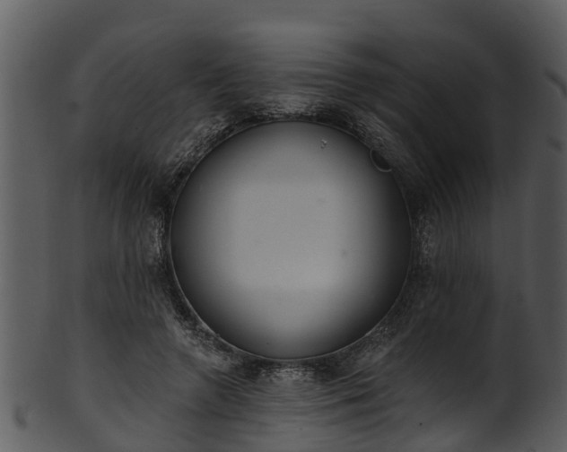 X0000101420546200807141156