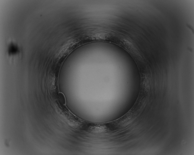 X0000101420548200807141157