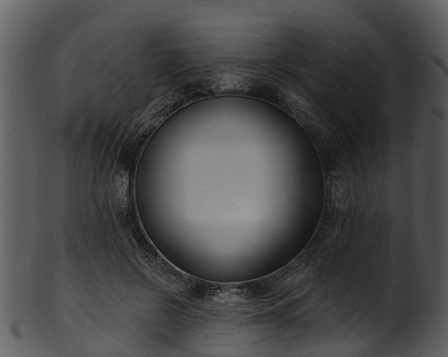 X0000101420550200807141157
