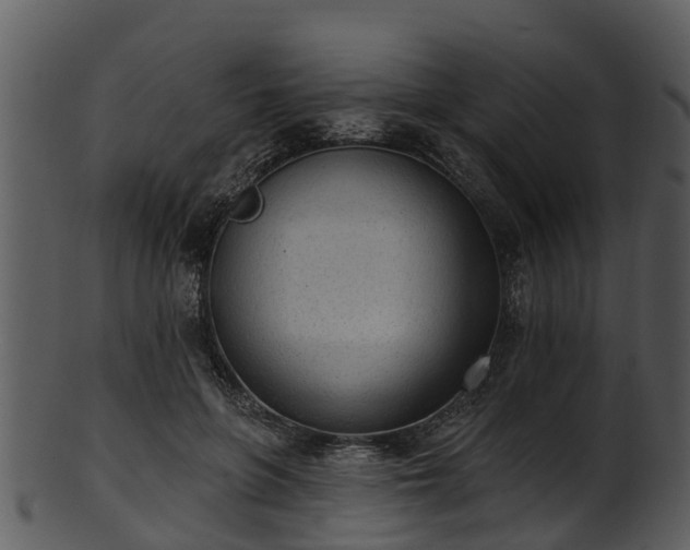 X0000101420551200807141157
