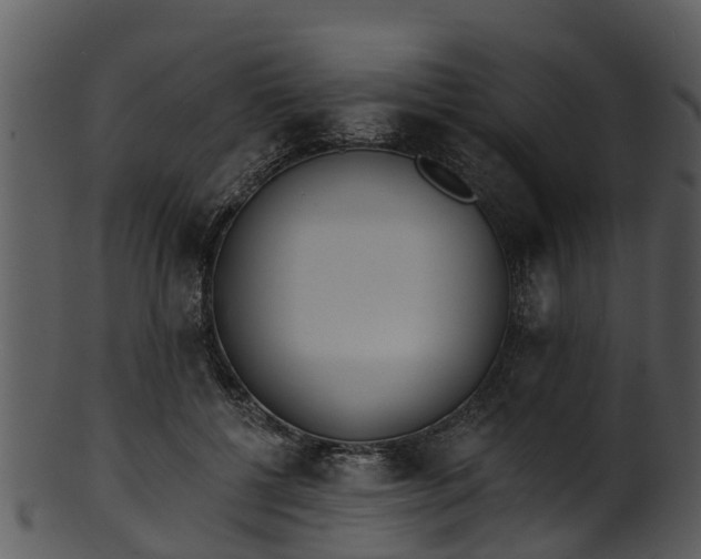 X0000101420552200807141157