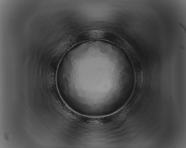 X0000101420553200807141157