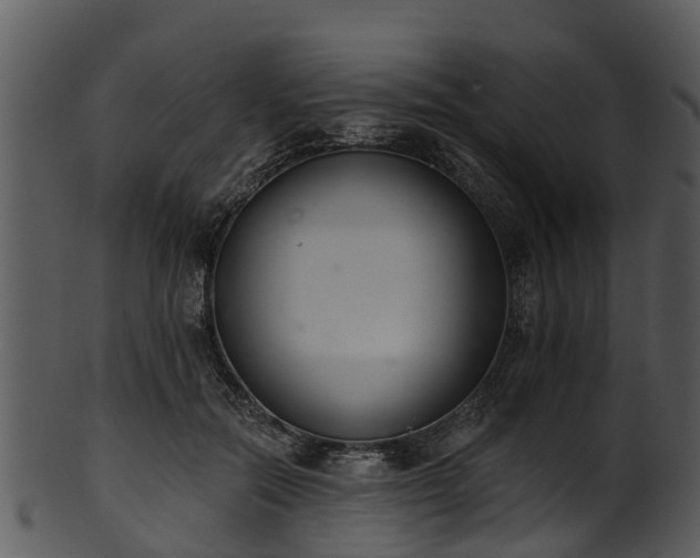 X0000101420554200807141157