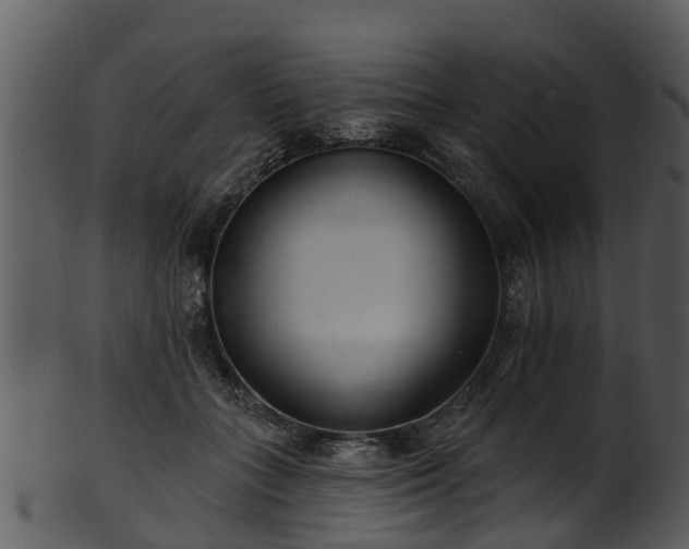 X0000101420555200807141157
