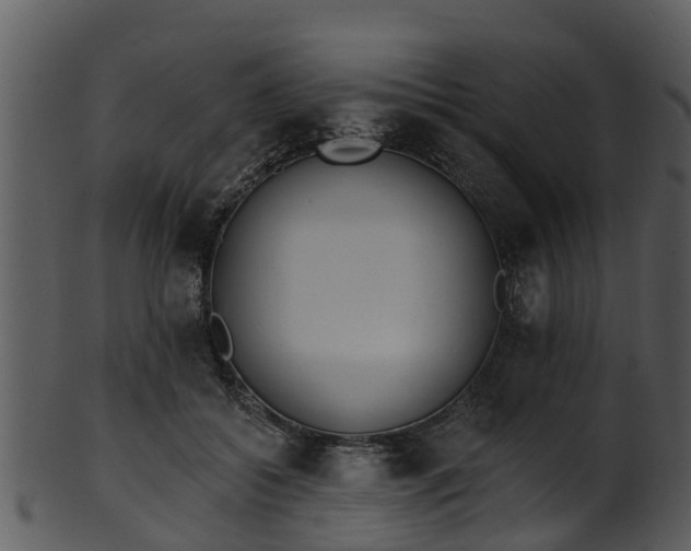 X0000101420556200807141157