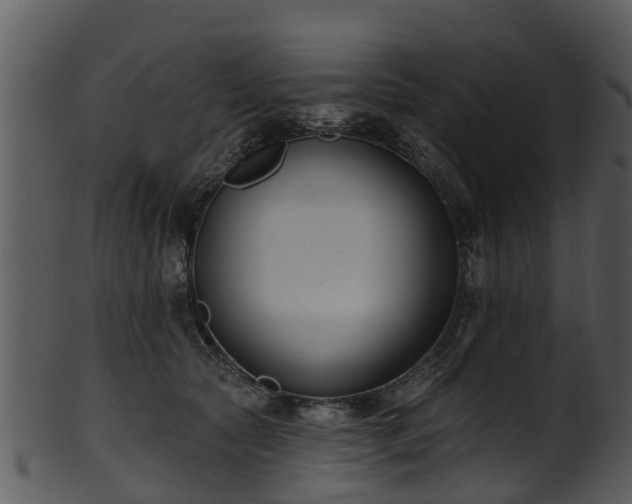 X0000101420561200807141157