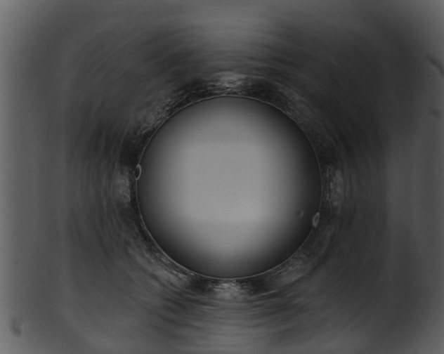 X0000101420562200807141157