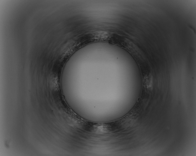 X0000101420564200807141157