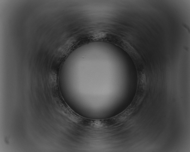 X0000101420565200807141157
