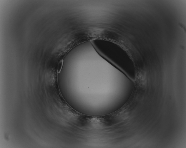 X0000101420566200807141157