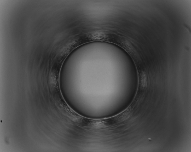 X0000101420569200807141157