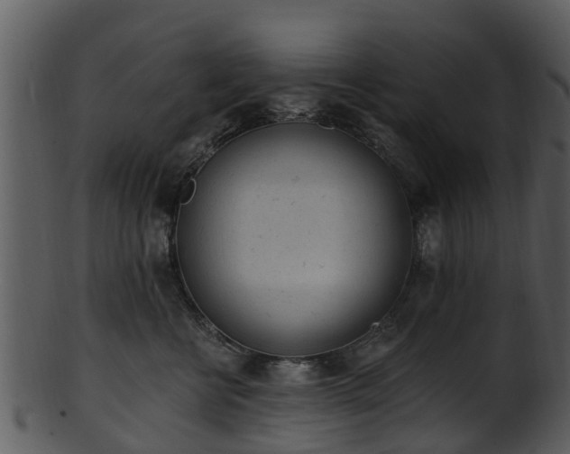 X0000101420570200807141157