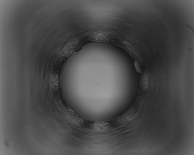 X0000101420571200807141157