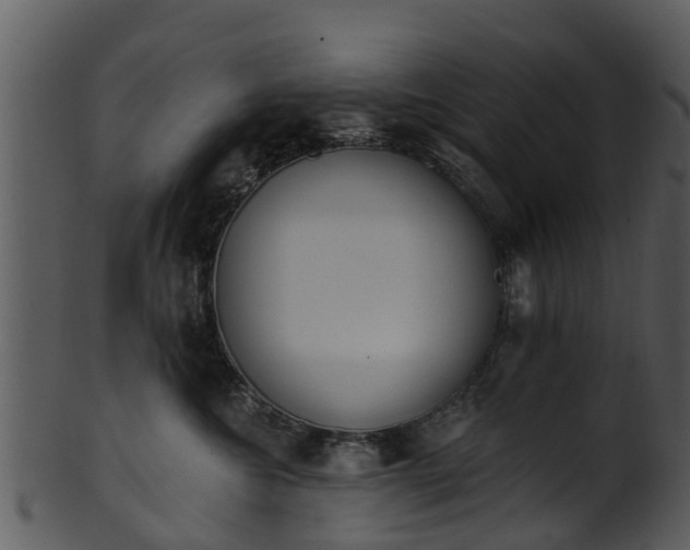 X0000101420572200807141157