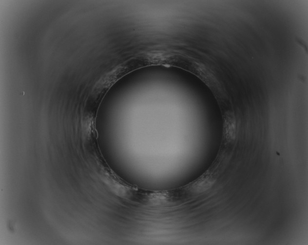 X0000101420574200807141157