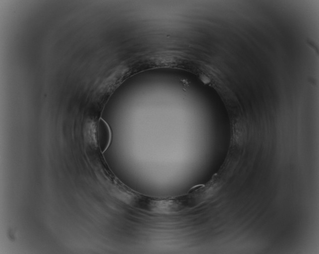 X0000101420575200807141157