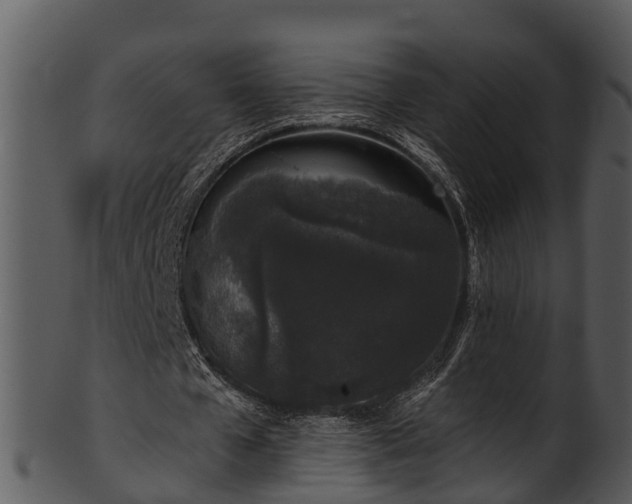 X0000101420577200807141156