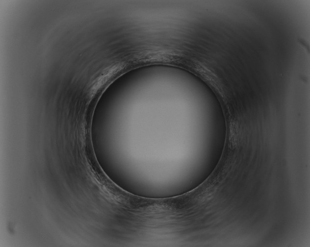 X0000101420578200807141156