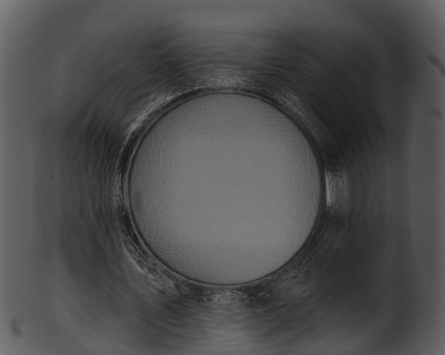 X0000101420579200807141156