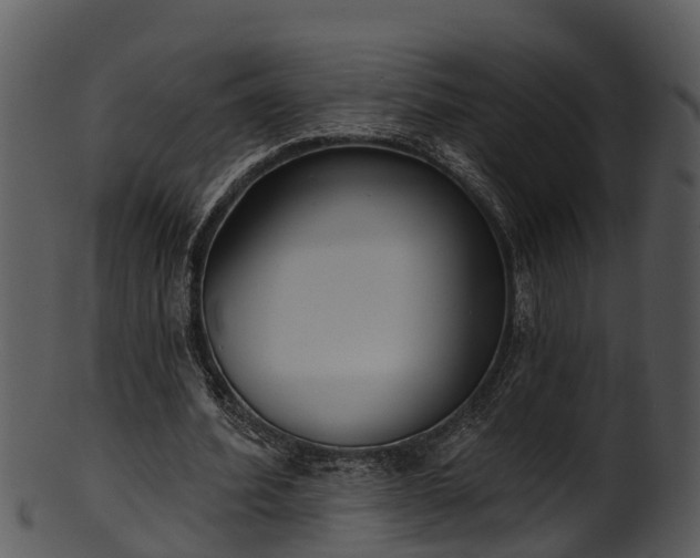 X0000101420580200807141156