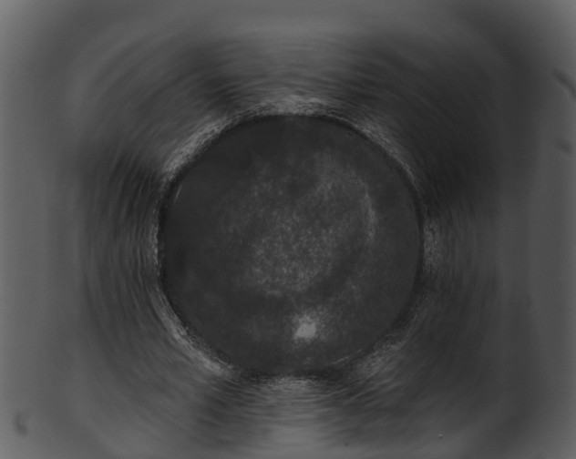 X0000101420581200807141156