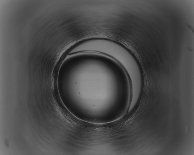 X0000101420584200807141156