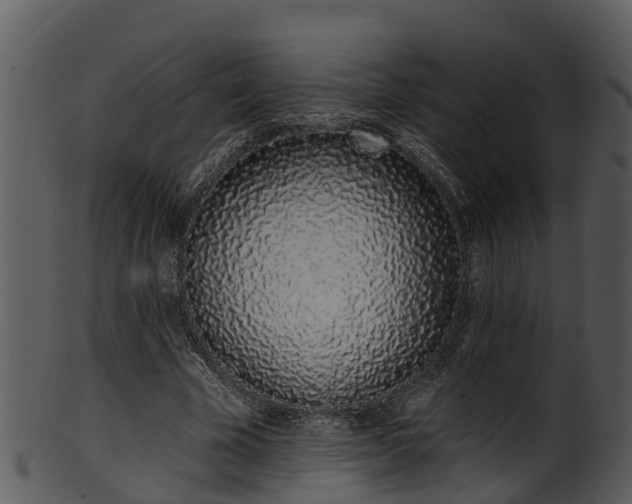 X0000101420585200807141156