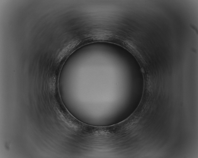 X0000101420586200807141156