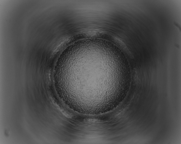 X0000101420590200807141156