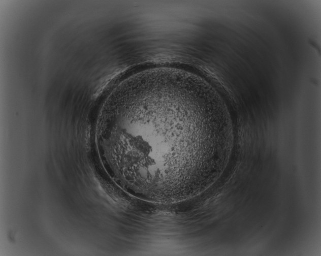 X0000101420592200807141156