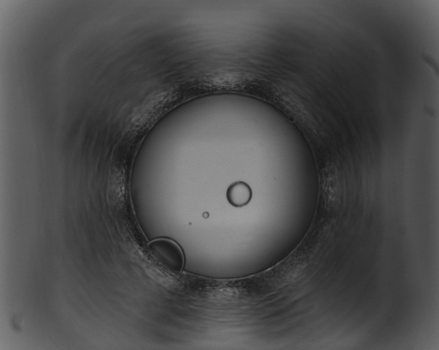 X0000101420593200807141156