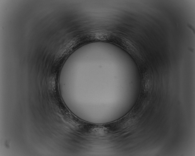 X0000101420595200807141156