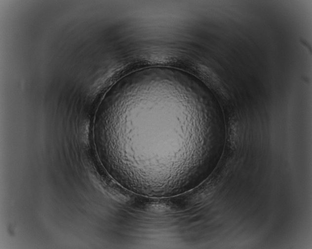 X0000101420596200807141156