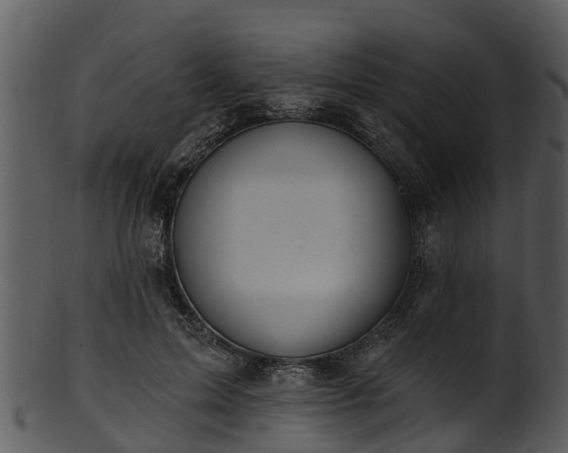 X0000101420599200807141156