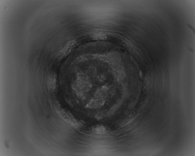 X0000101420600200807141156