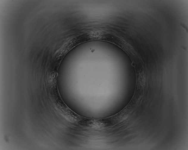 X0000101420601200807141156