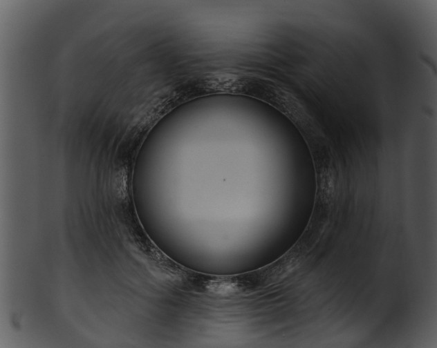 X0000101420602200807141156