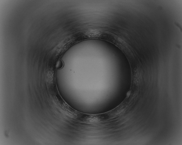 X0000101420604200807141156