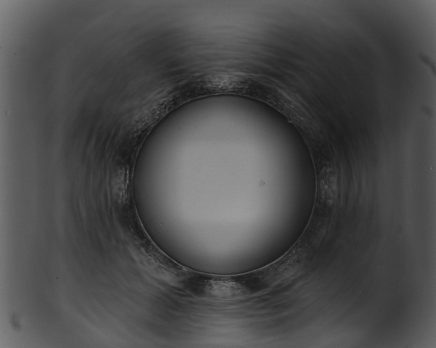 X0000101420605200807141156