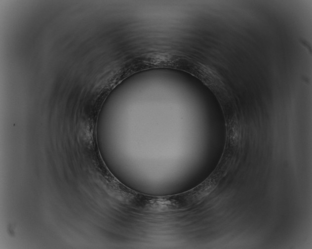 X0000101420607200807141156