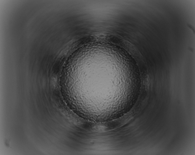 X0000101420610200807141156