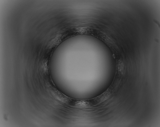 X0000101420611200807141156
