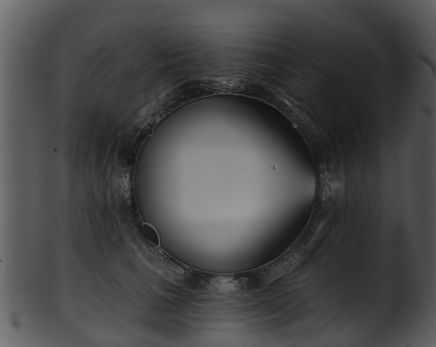 X0000101420613200807141156