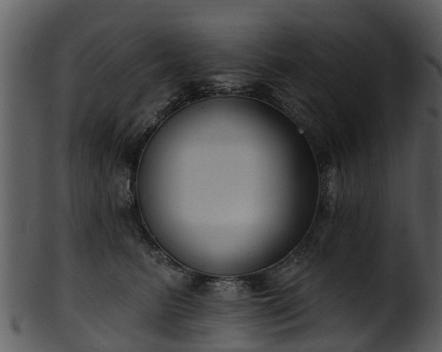 X0000101420615200807141156