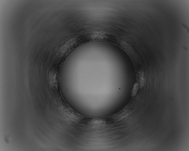 X0000101420619200807141156