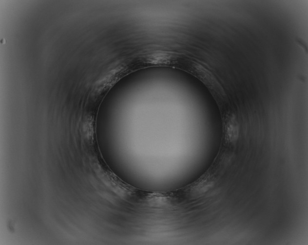 X0000101420620200807141156