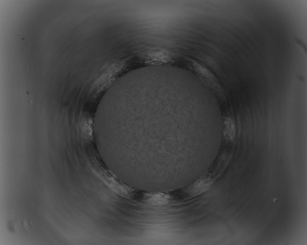X0000101420621200807141156